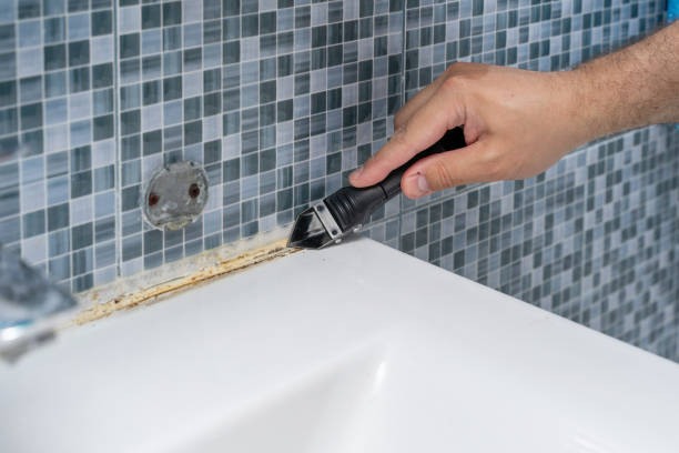 Trusted Ida Grove, IA Mold Remediation Experts